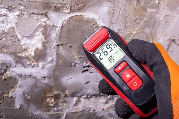 Best Commercial Mold Removal  in Mansfield, OH