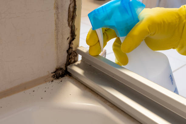 Best Residential Mold Removal  in Mansfield, OH