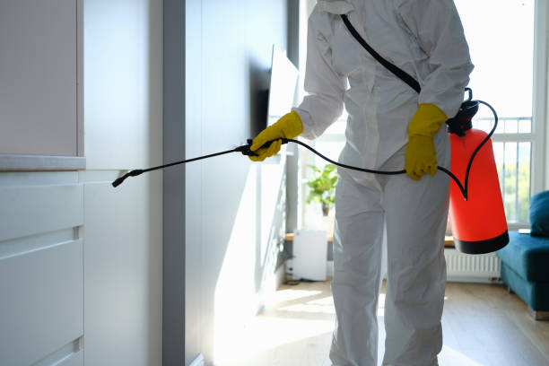 Home Mold Removal in Mansfield, OH