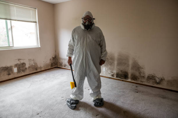 Best Affordable Mold Removal  in Mansfield, OH